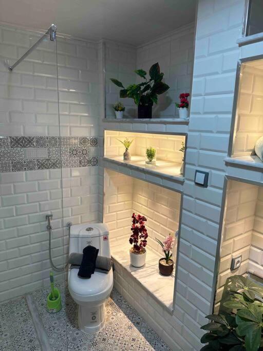 Mira loft - Housity