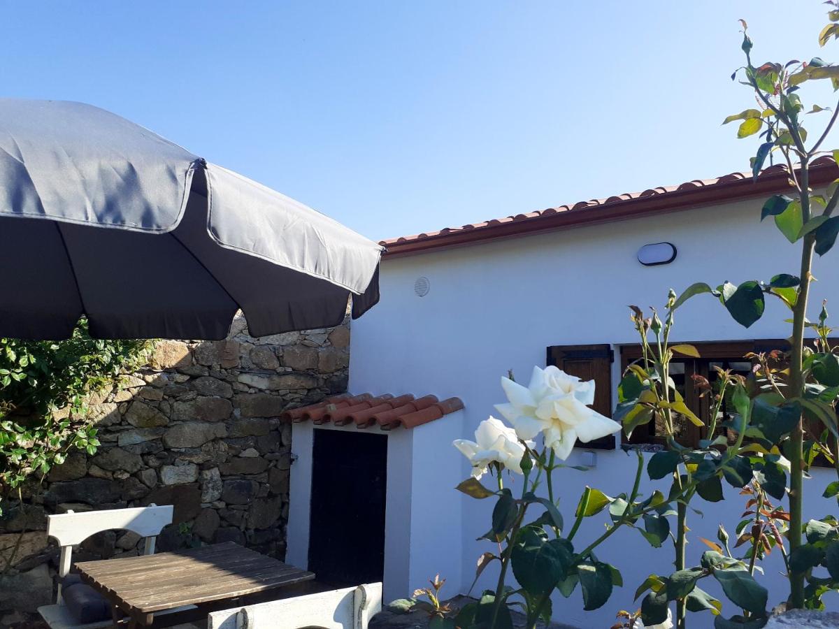 Charming house in Parada with mountain view and fenced garden - Housity
