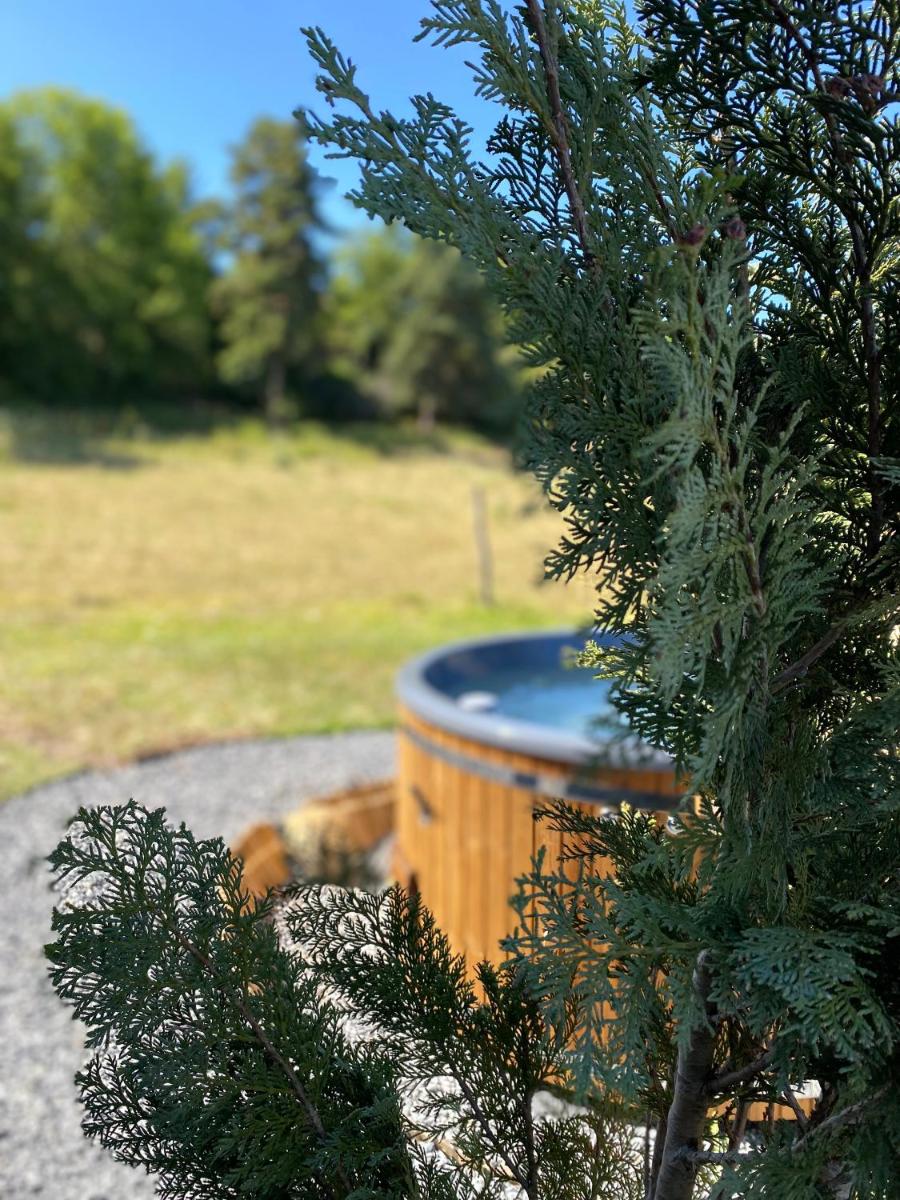 Cottage 2 à 4 personnes ,au cœur des volcans - Housity