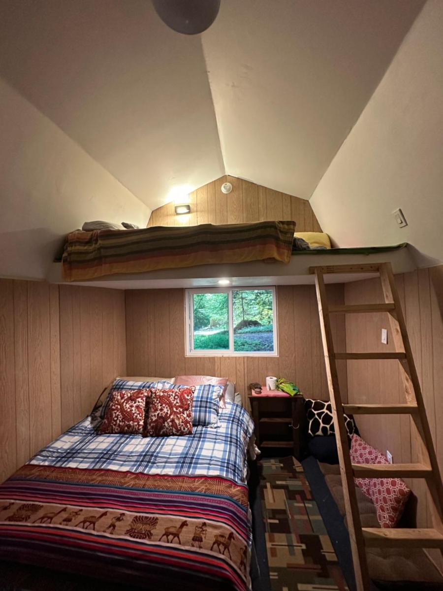 The paradise Retreats - Housity