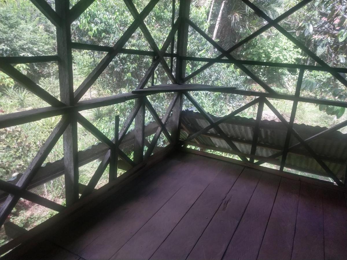 Lomón de los Zipas Amazónicos - Housity