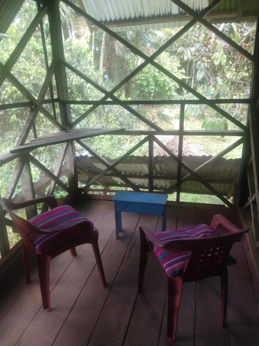 Lomón de los Zipas Amazónicos - Housity