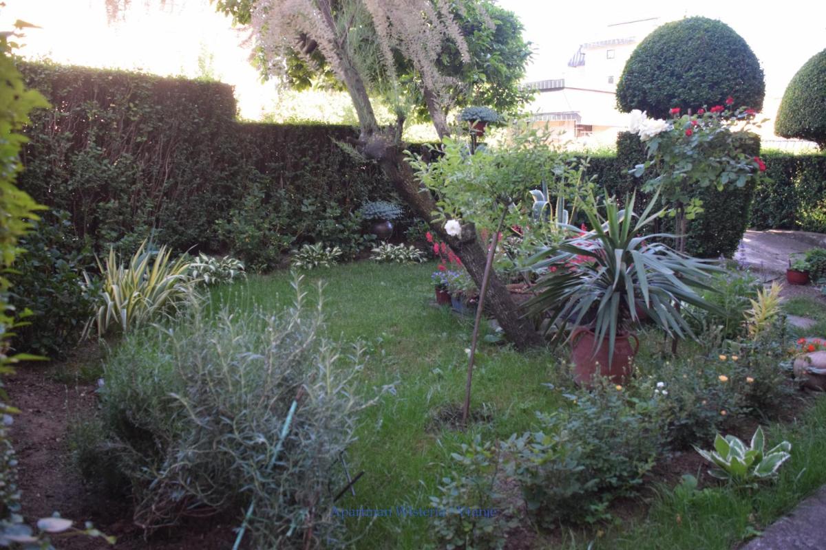 Apartman Wisteria - Housity