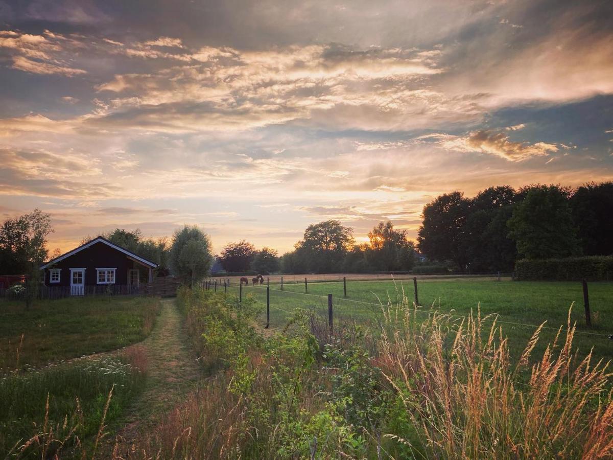 Buitenhuisje B&B De Veldweg - Housity