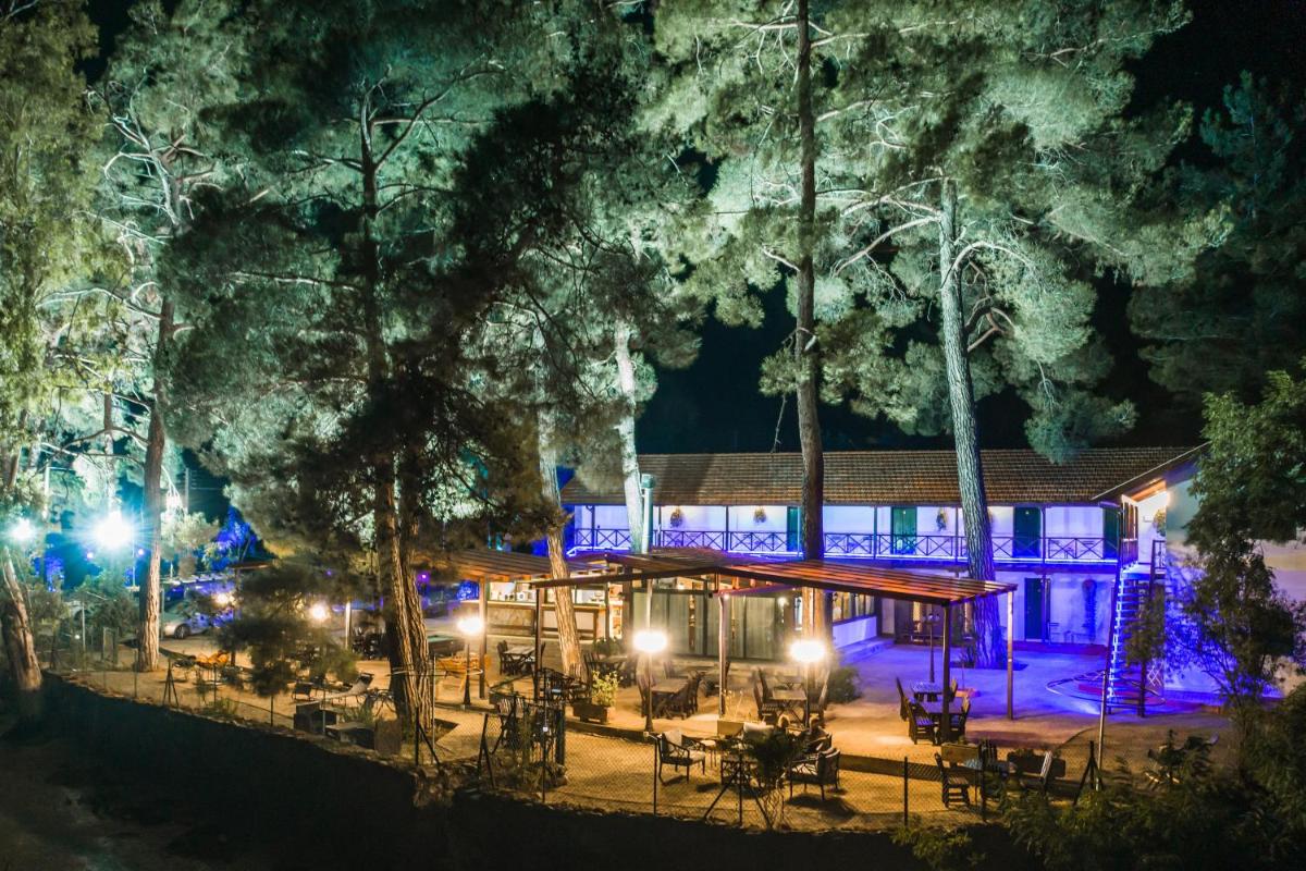Pine View Boutique Hotel Adults Only - Housity