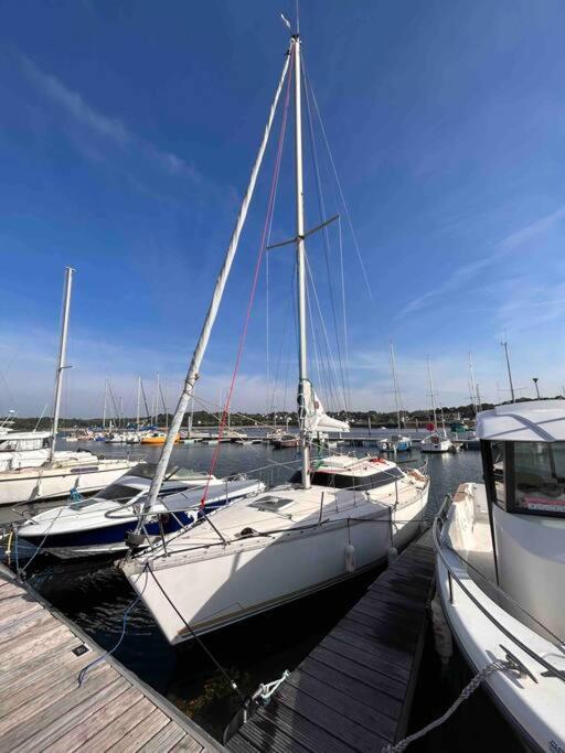 Topaze voilier habitable - Housity