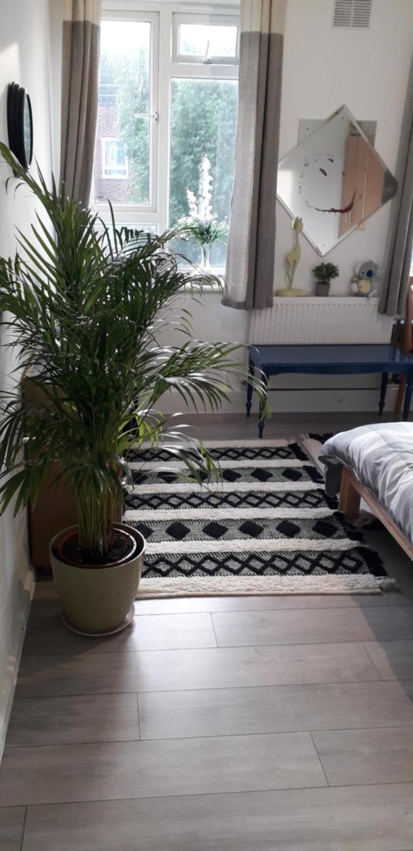 7, Cranehouse Brangbourne Road one big double room available on reasonable price, Shared Flat - Housity