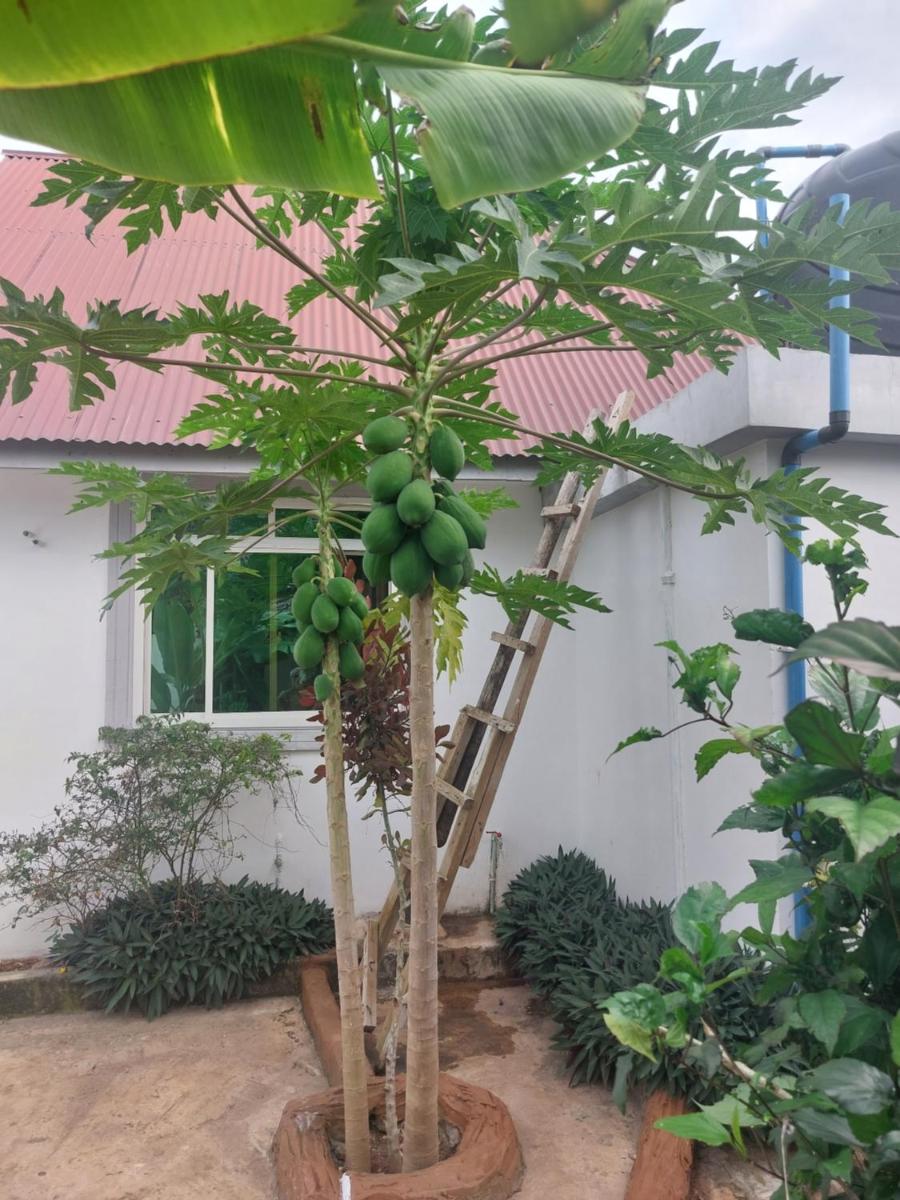 eco lodge - Housity