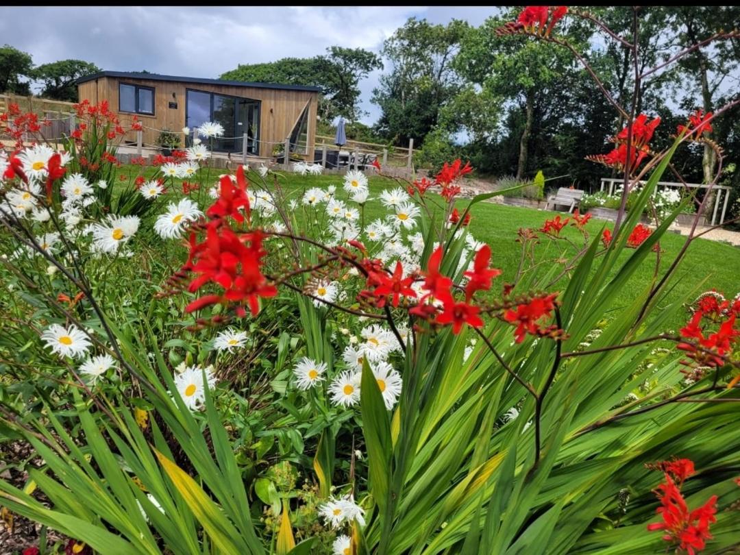 Brondini View Cabin (Private Garden and Hot Tub) - Housity