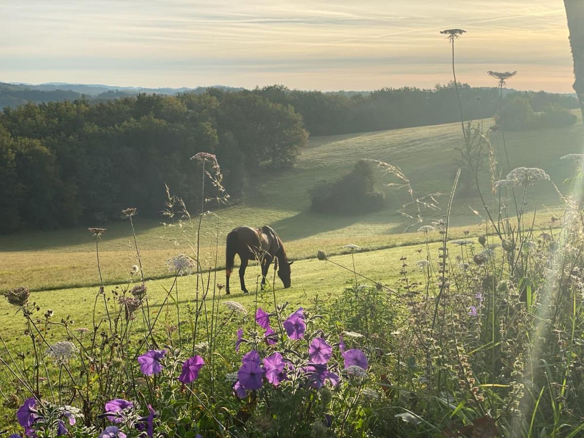 Domaine de Cazal - Gîte 2 pers avec piscine au cœur de 26 hectares de nature préservée - Housity
