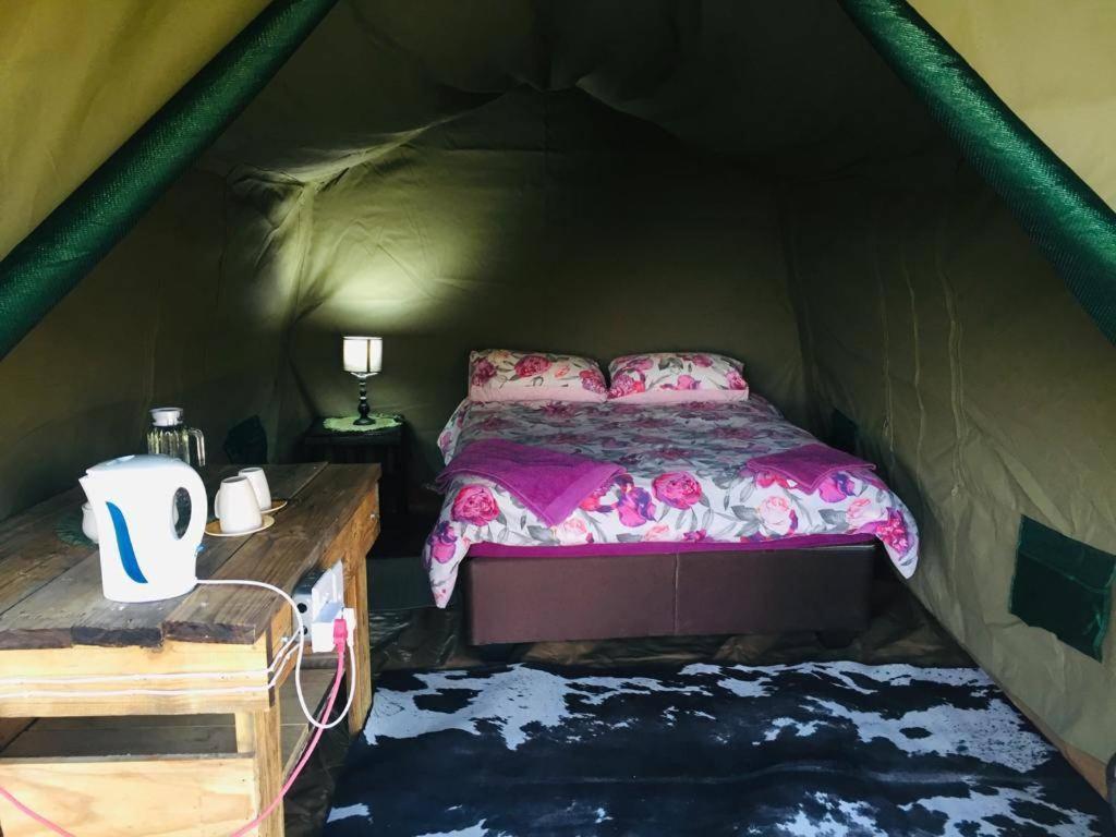 Bambi Lodge - Housity