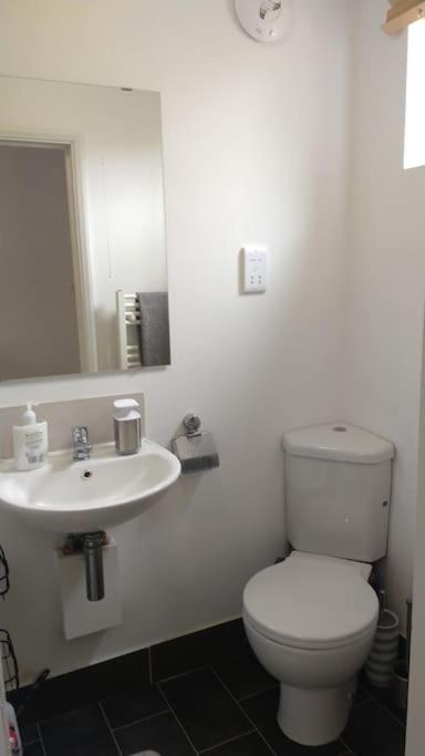 Modern Spacious Detached Cottage in Cambridge - Housity
