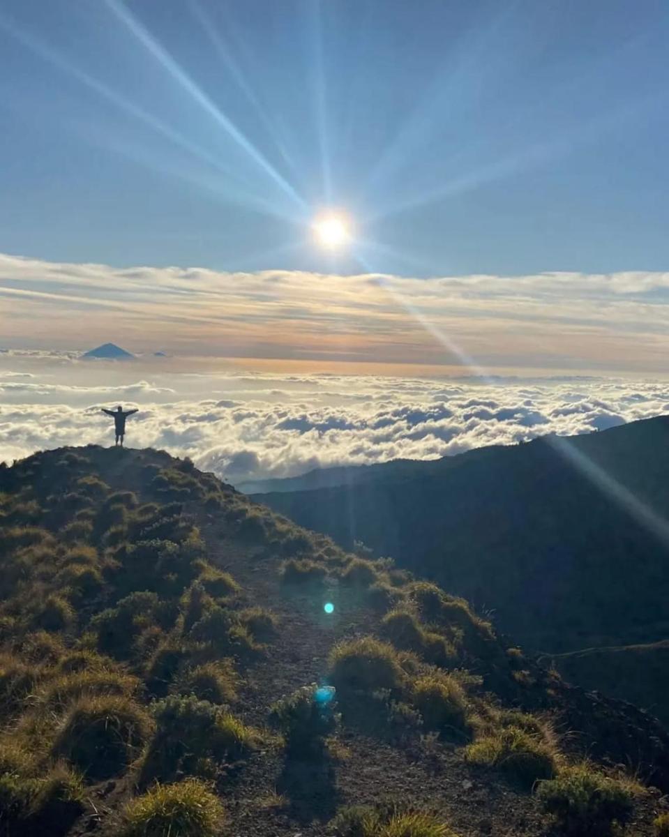 Suitetrails - Jayatrekker Best camp tetebatu