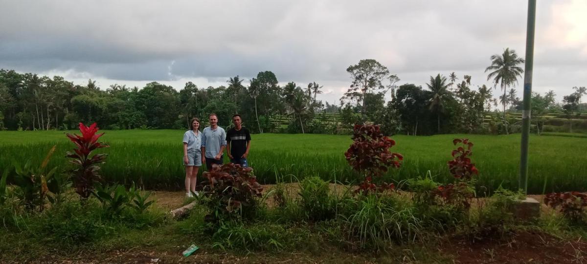 Ijen Farmer Homestay - Housity