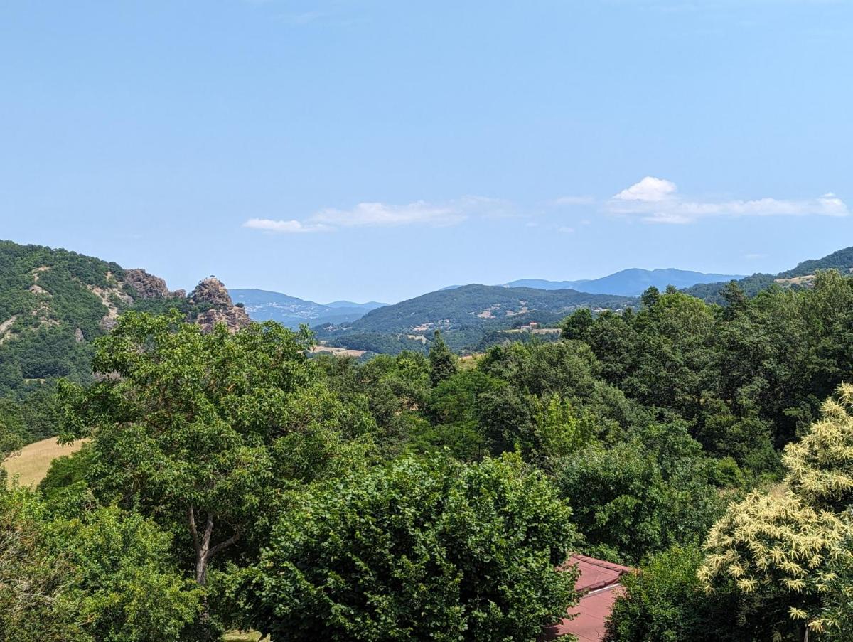 B&B il Tartufo - Housity