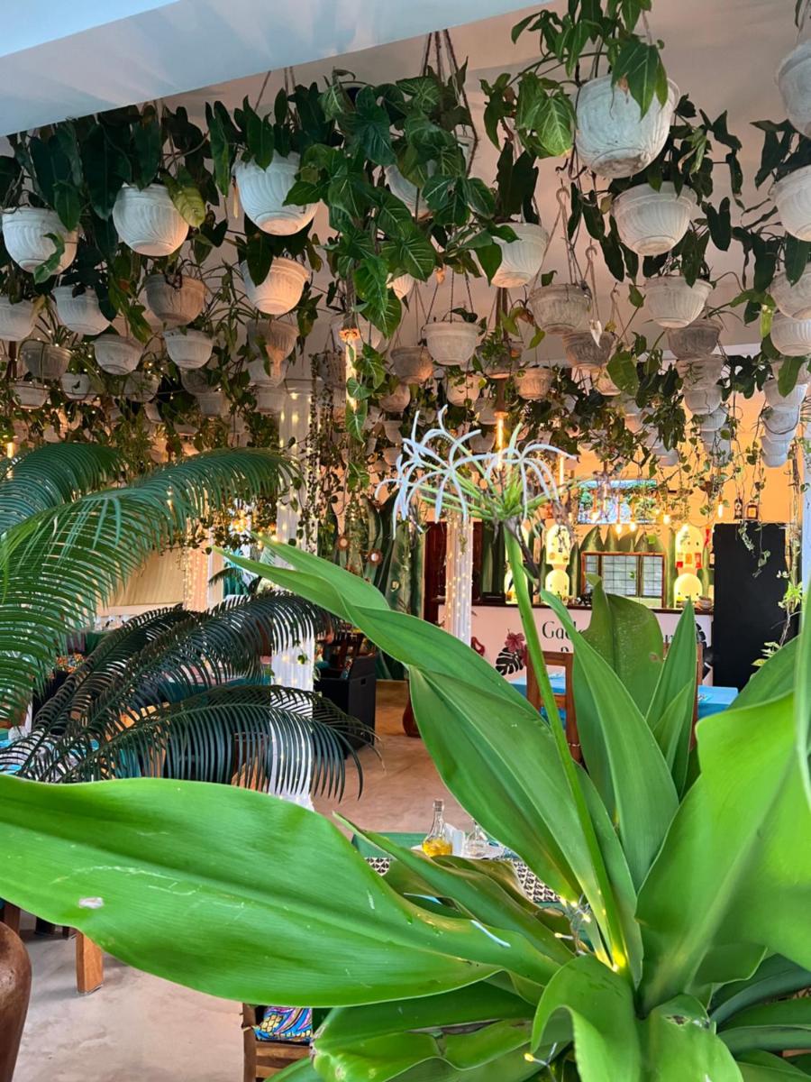 Gadea Boutique Hotel& Gadea Garden Italian Restaurant - Housity