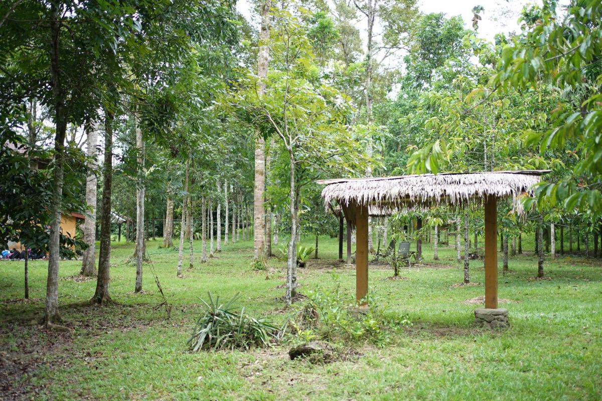 Batu Kapal Lodge - Housity