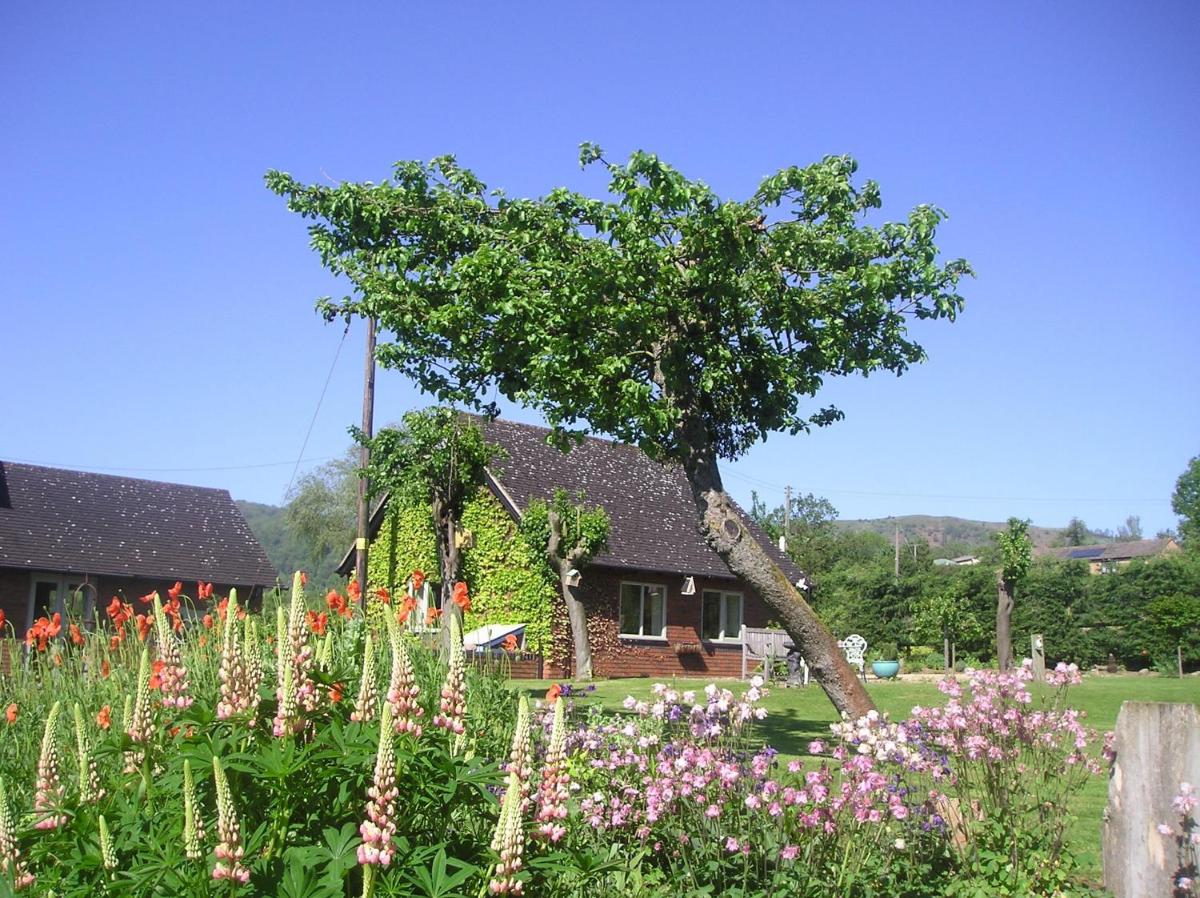 Myrtleberry Studio BnB - Housity