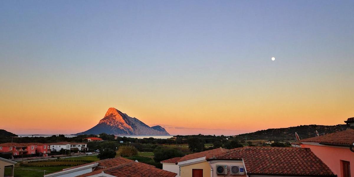 Vista Tavolara - Sardegna Holiday Apartment - Housity