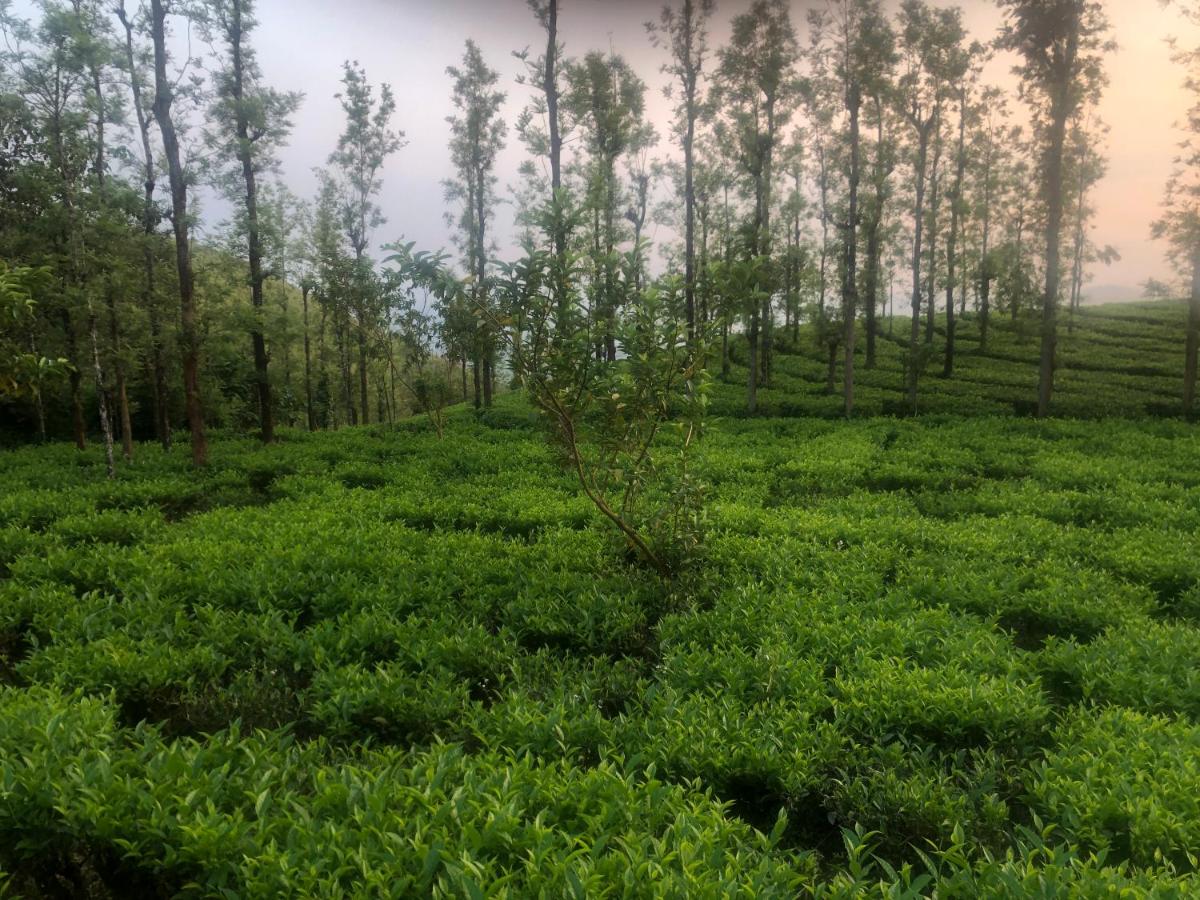 The Forest Resort - Muneeswaramudi Eco Hermitage and Farms - Housity