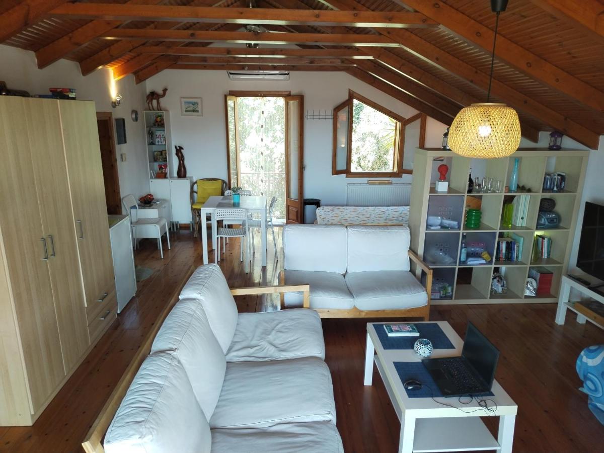 Nikos Loft Olympia - Housity