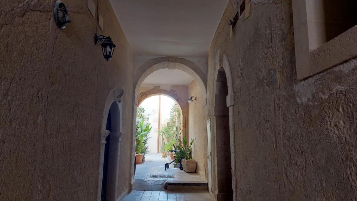 La casa dei gatti - Housity