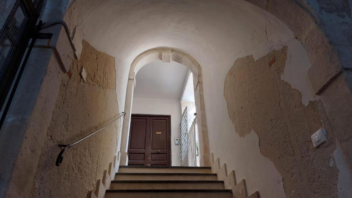 La casa dei gatti - Housity