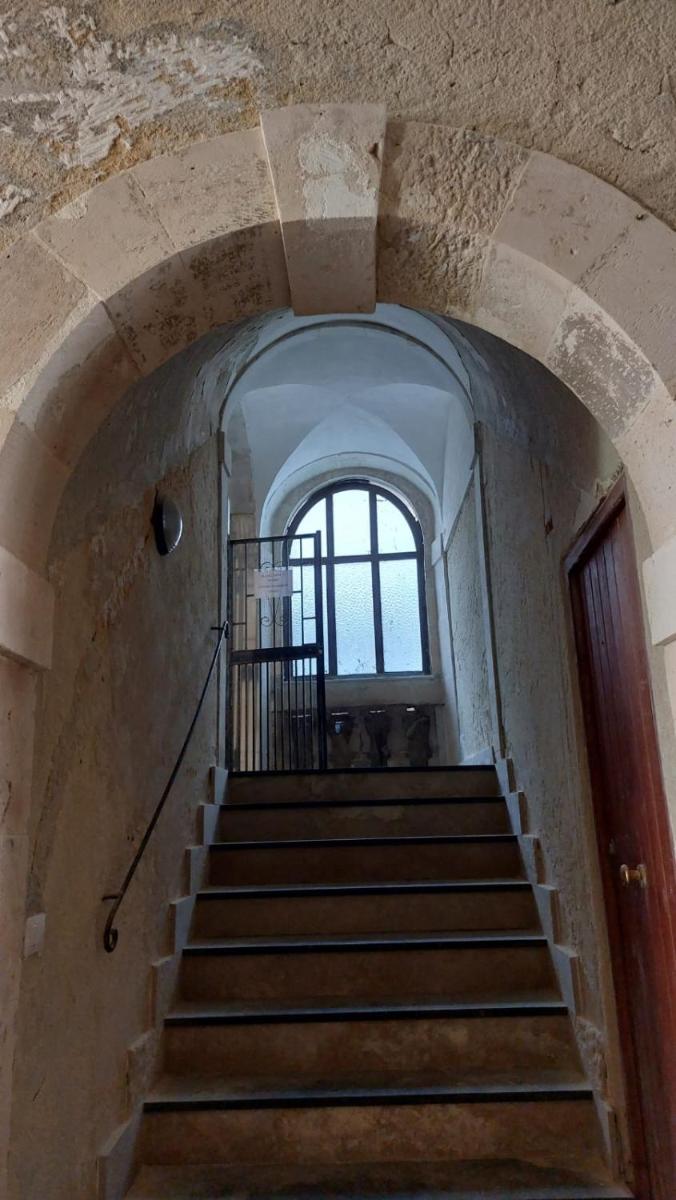 La casa dei gatti - Housity
