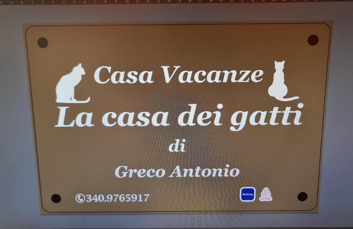 La casa dei gatti - Housity