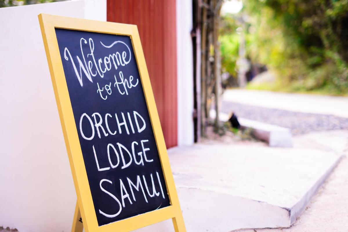 ORCHID LODGE SAMUI - Bed & Breakfast - Housity
