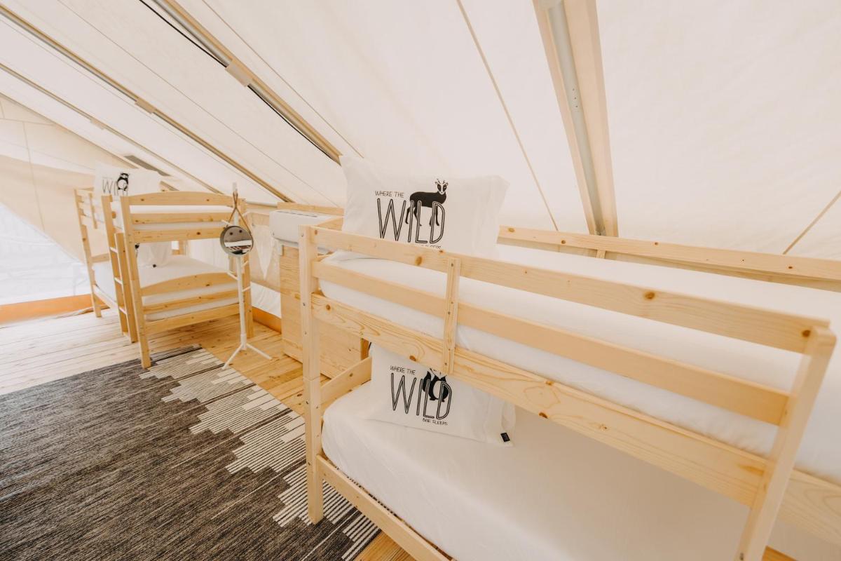 Timberline Glamping at Amicalola Falls - Housity