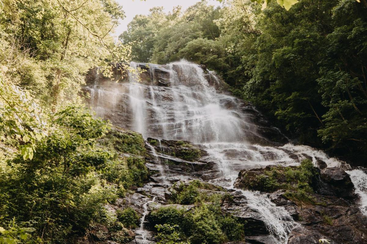 Timberline Glamping at Amicalola Falls - Housity