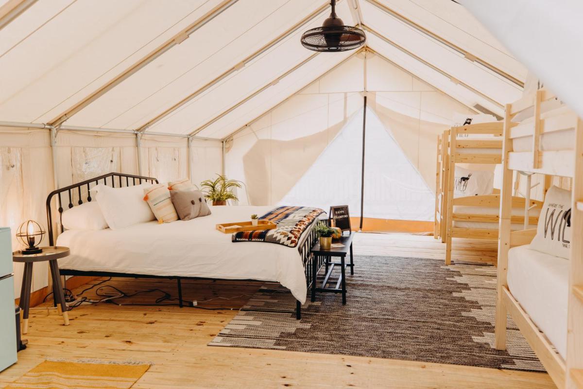 Timberline Glamping at Amicalola Falls - Housity