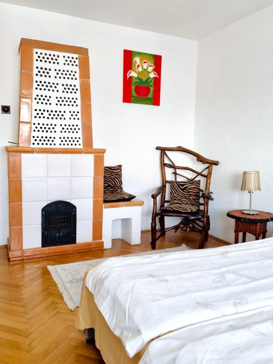 Cosy apartment in Subotica, city center - Housity