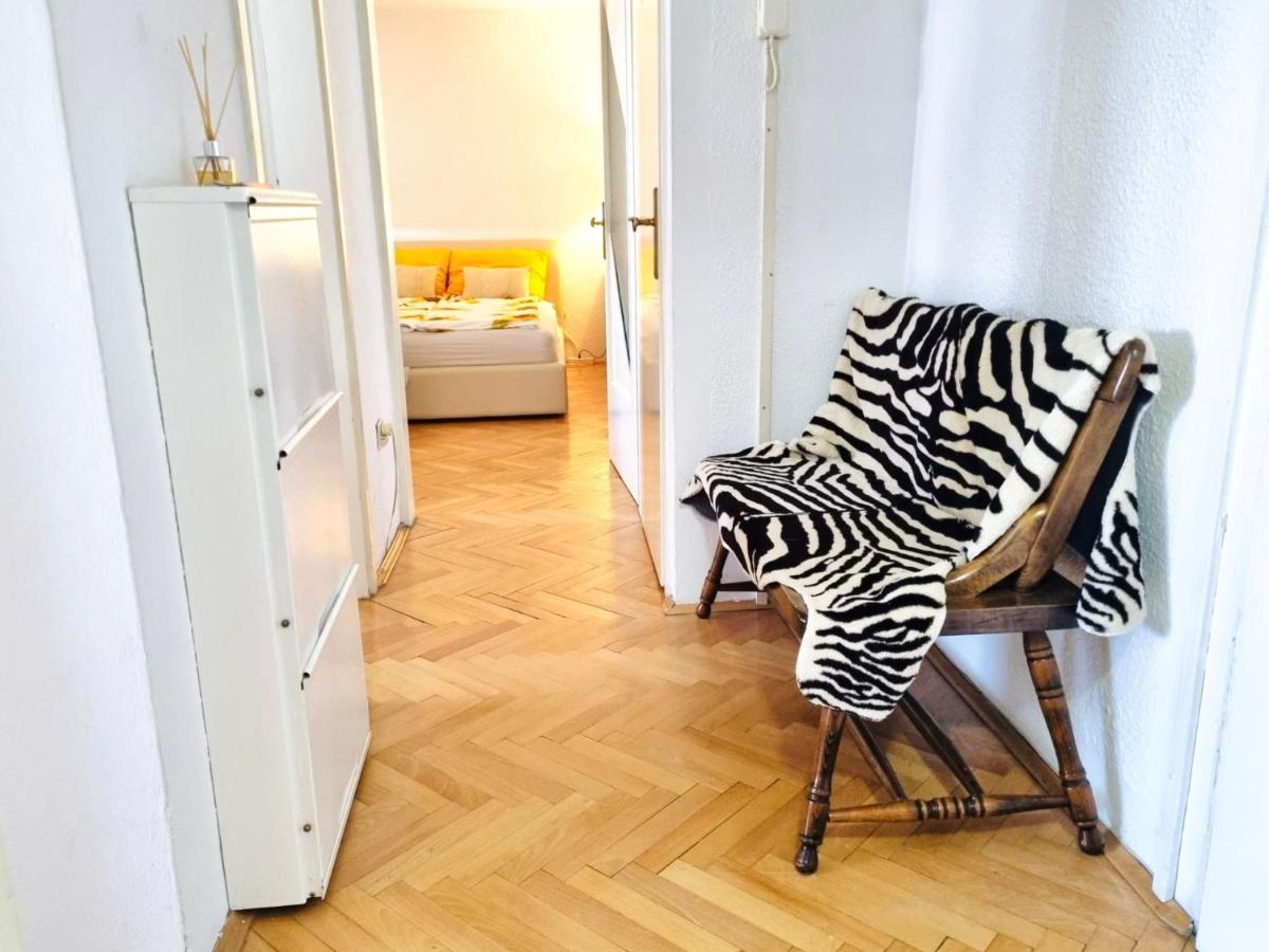 Cosy apartment in Subotica, city center - Housity