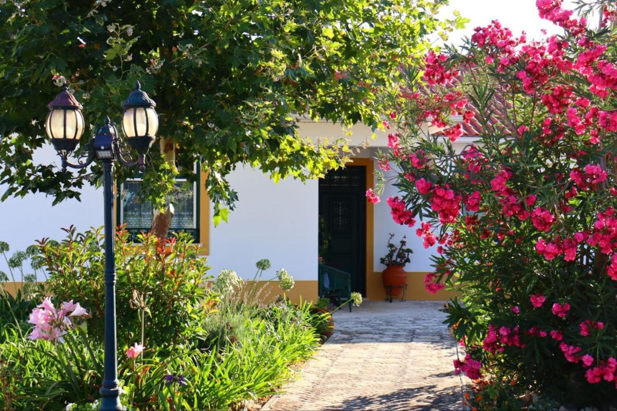 Casa Robusto - Housity