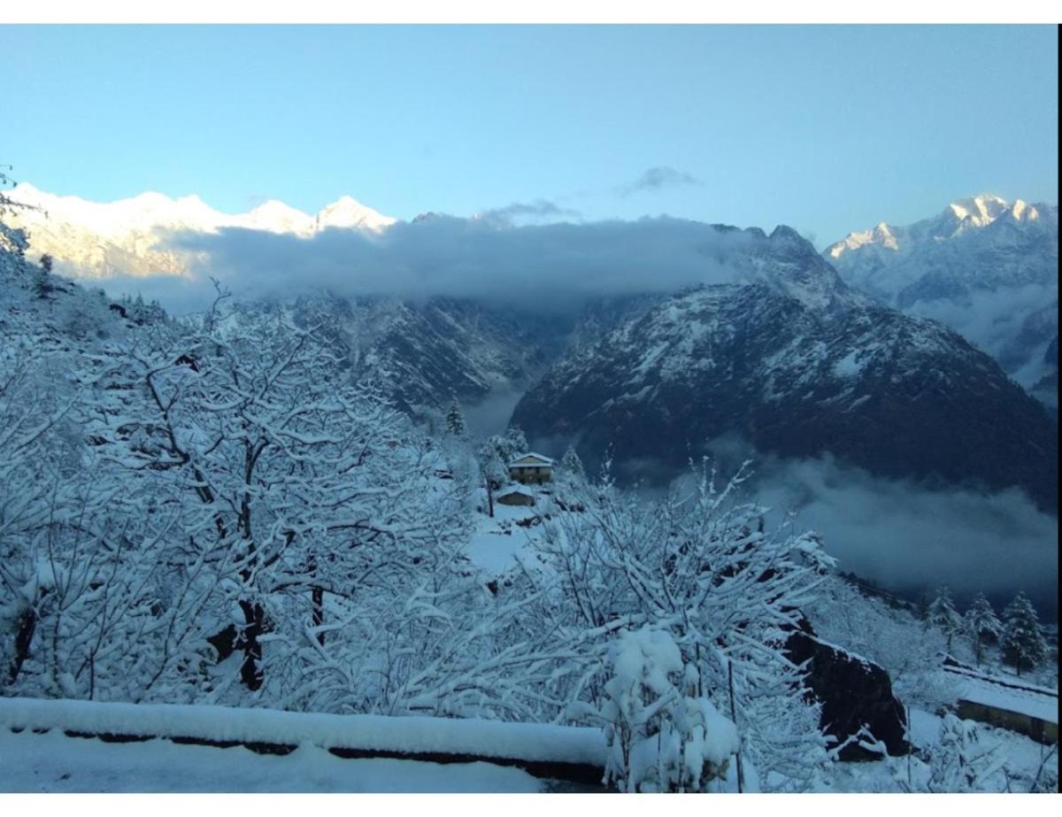 The Skadi Homestay,Auli - Housity