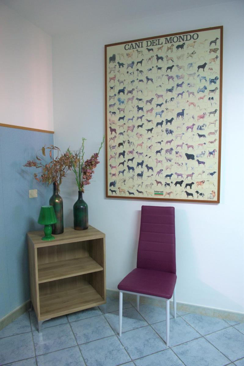 La Bougainvillea - OUTDOOR - Housity