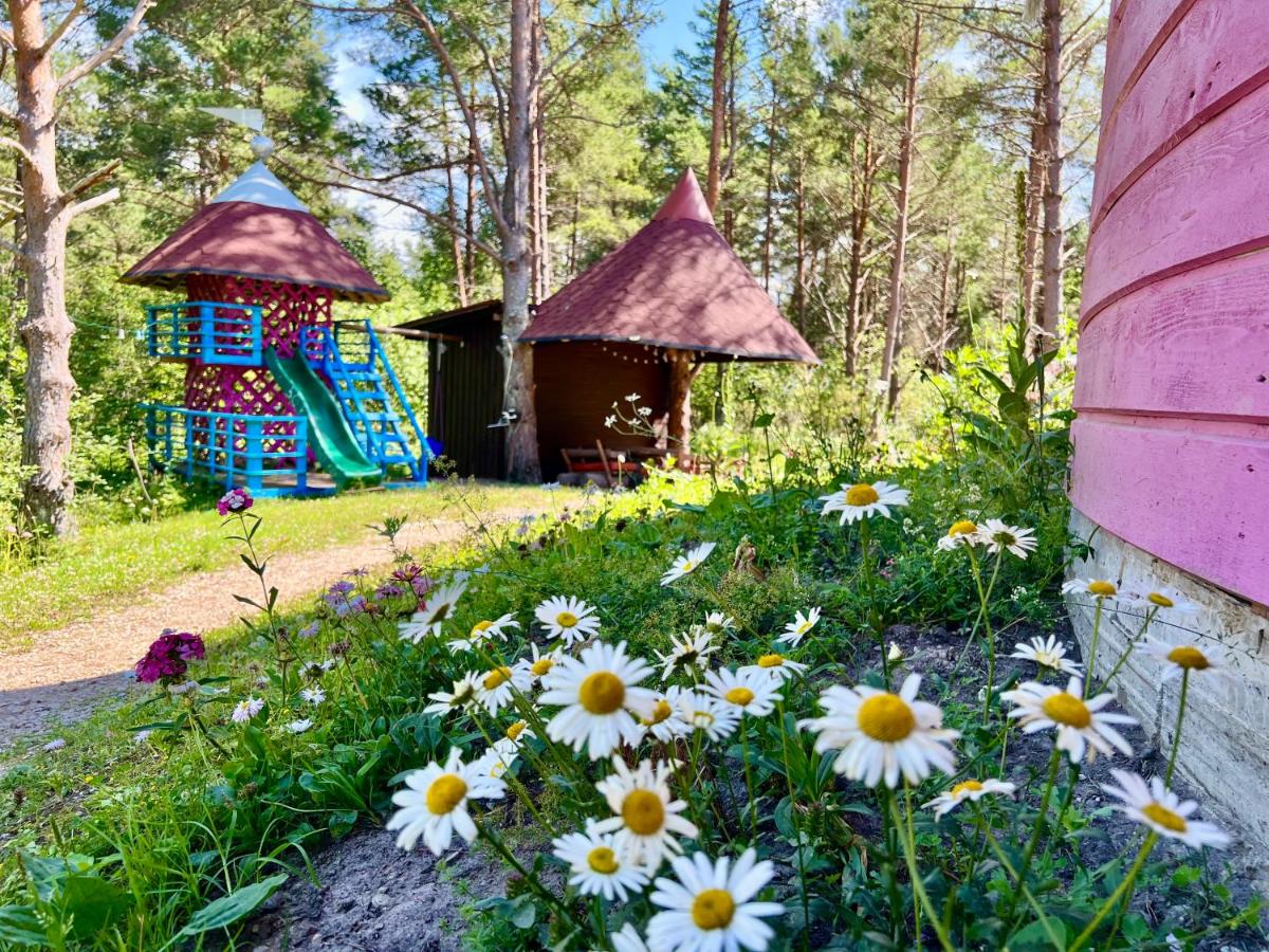 Roosa maja parvesaunaga - Housity