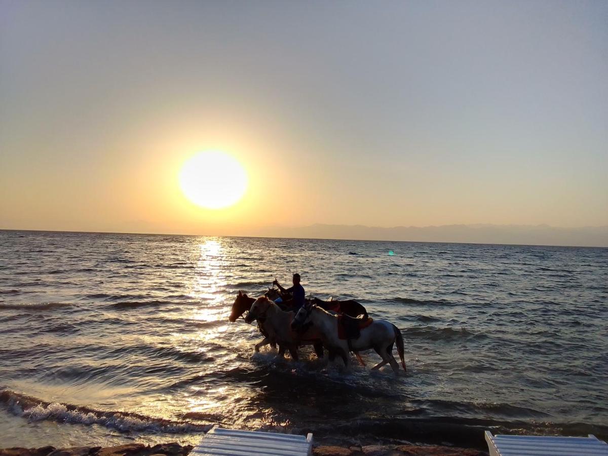 Panorama Lodge - Housity