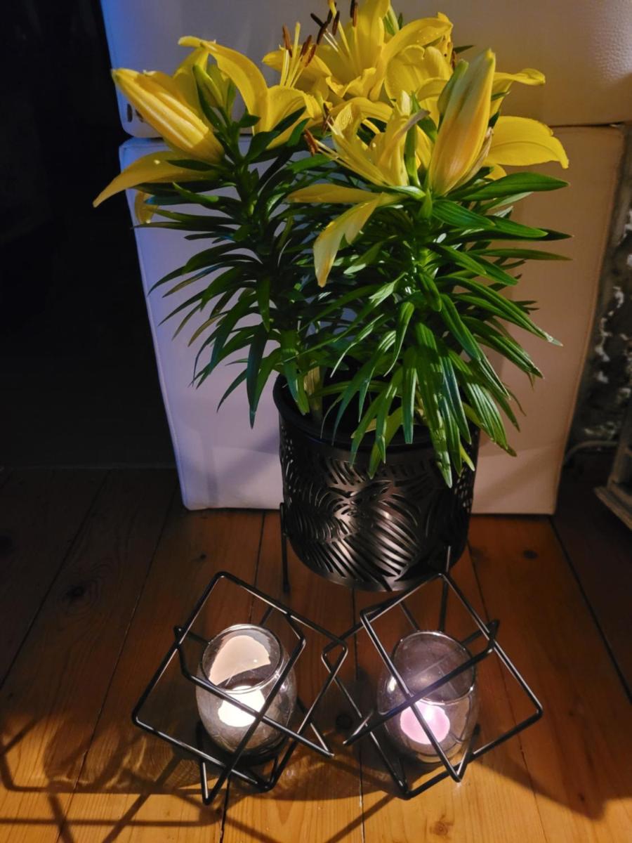 Apartament LILLA - Housity