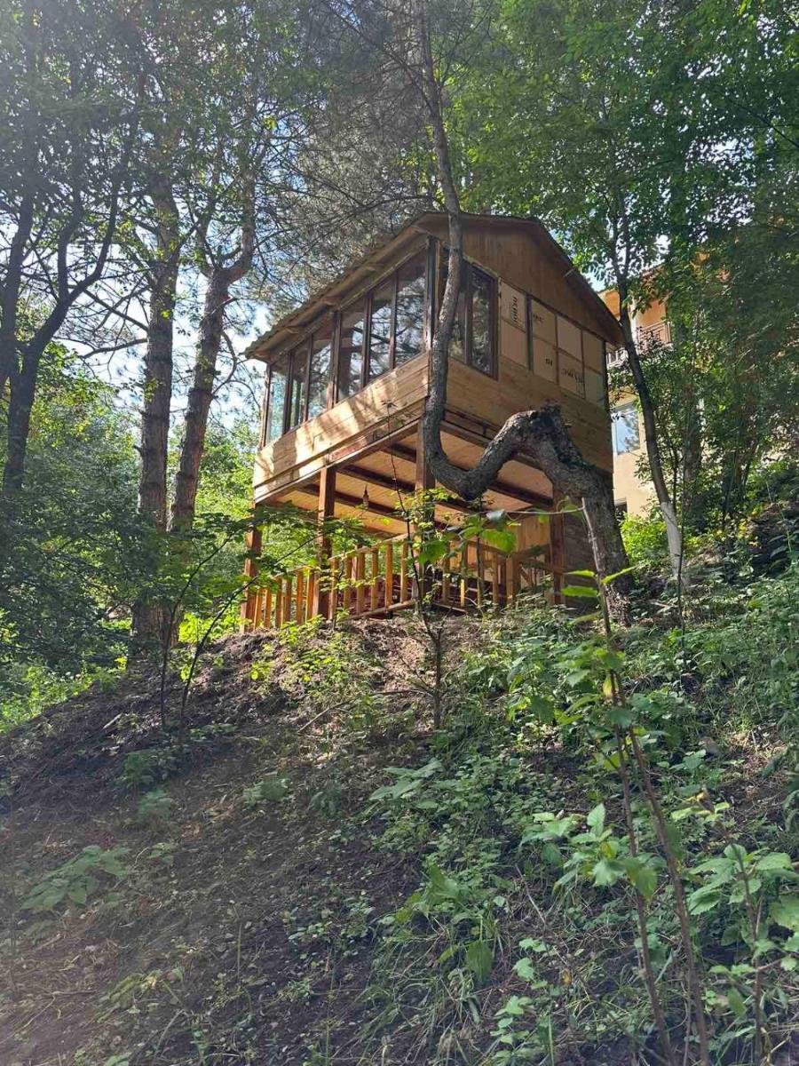 Sochiner Hotel - Housity