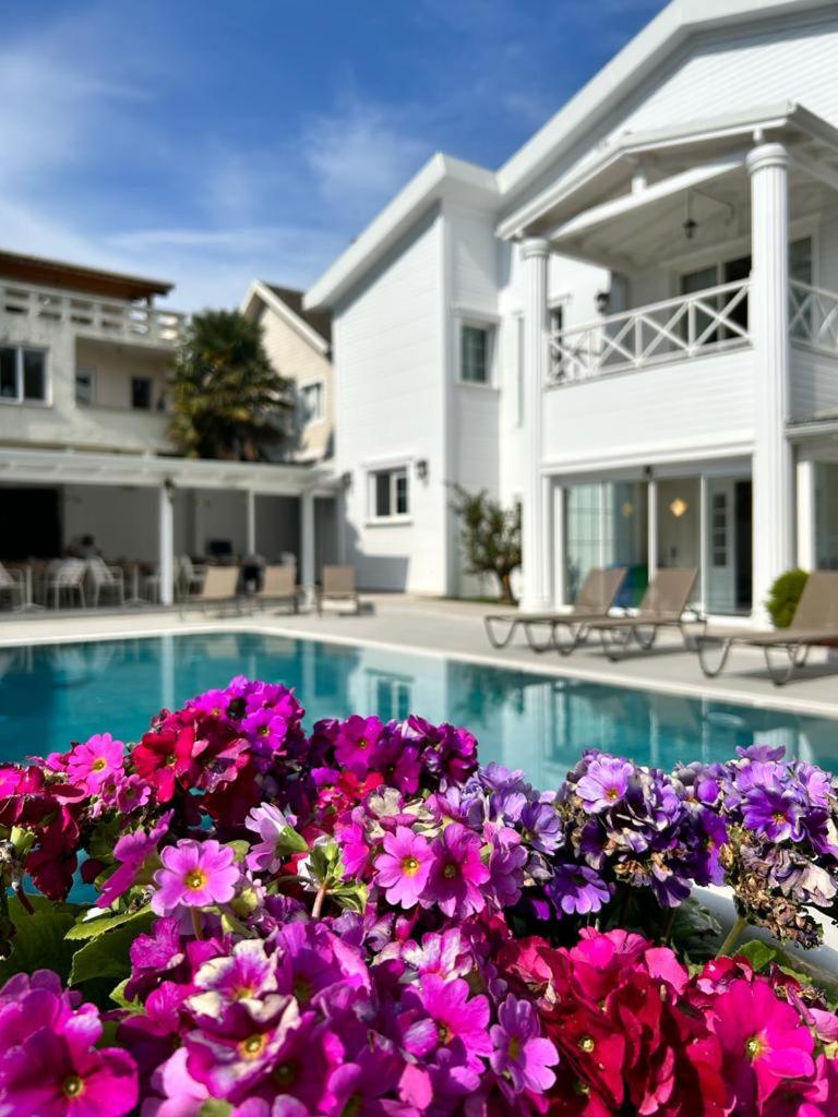 Villa No 44 - Housity