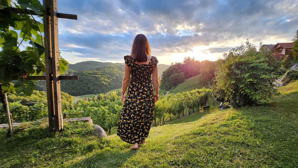 Vineyard cottage Podržaj - Housity