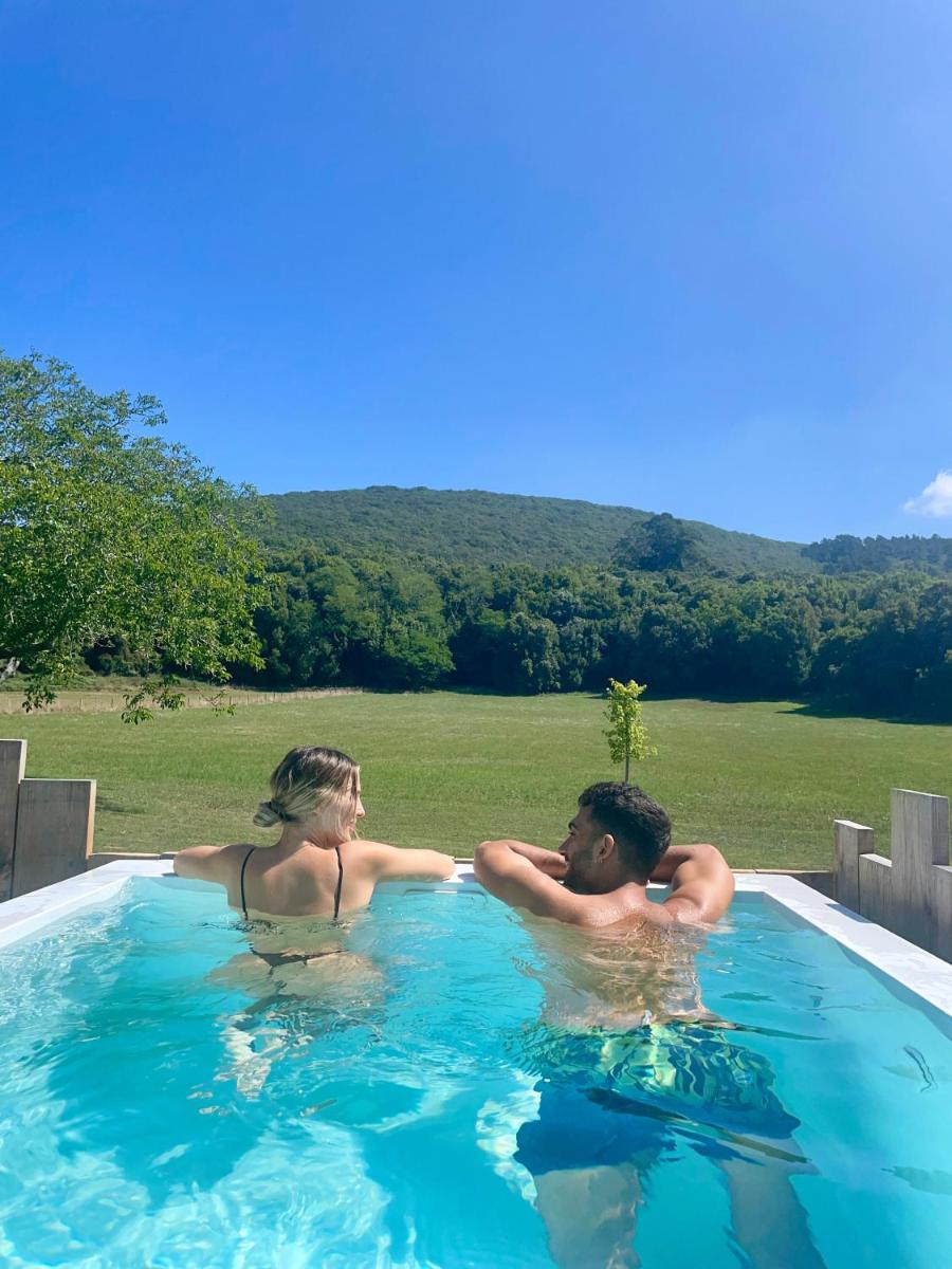 VIBE LUXURY CABINS - Housity