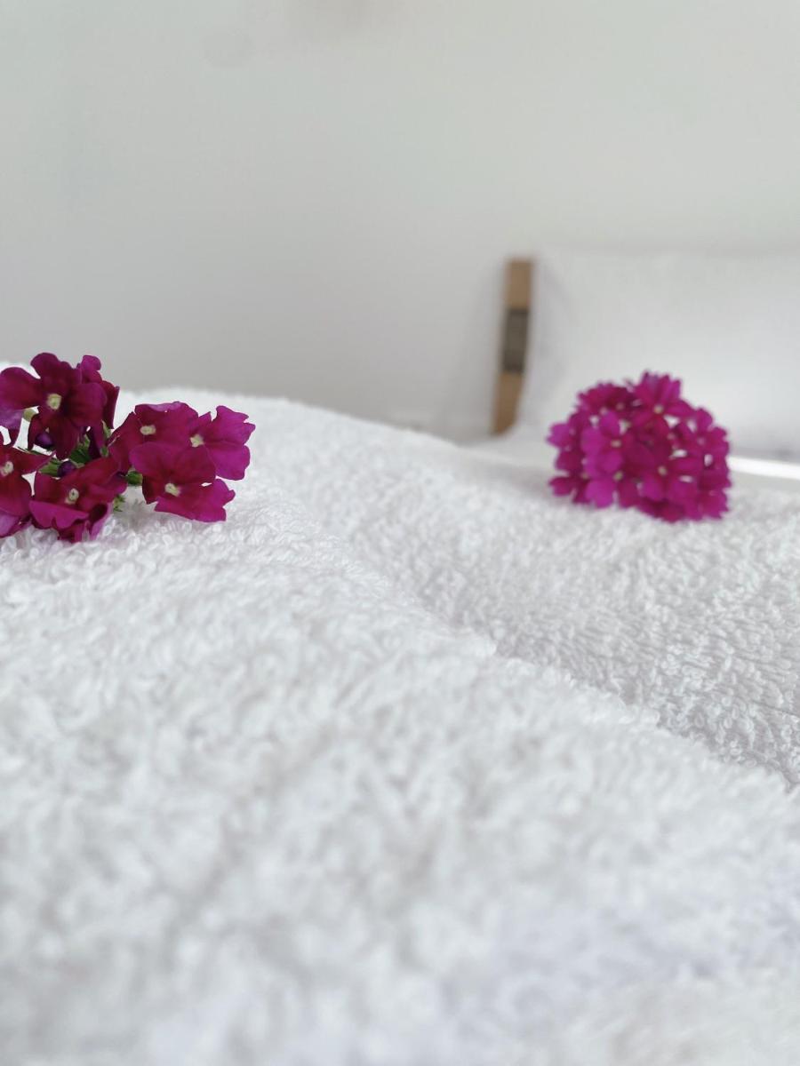 Lori Gardenia Hotel - Housity