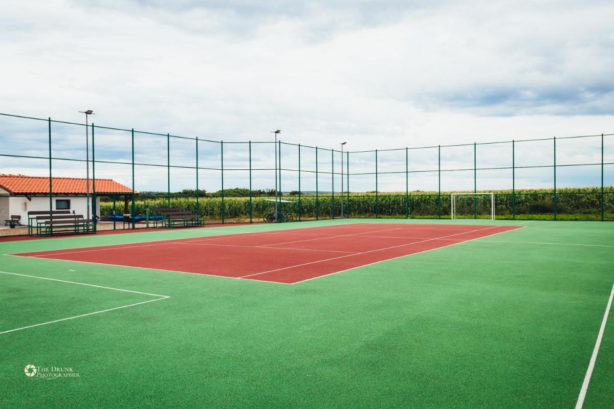 Pensiunea Willy Silvas - Housity