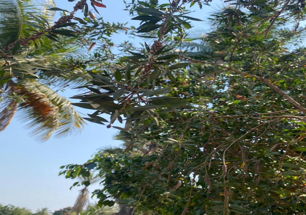 The Palash Vann Resort Madhya Pradesh - Housity