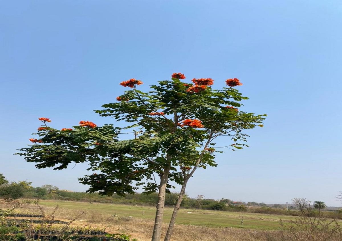 The Palash Vann Resort Madhya Pradesh - Housity