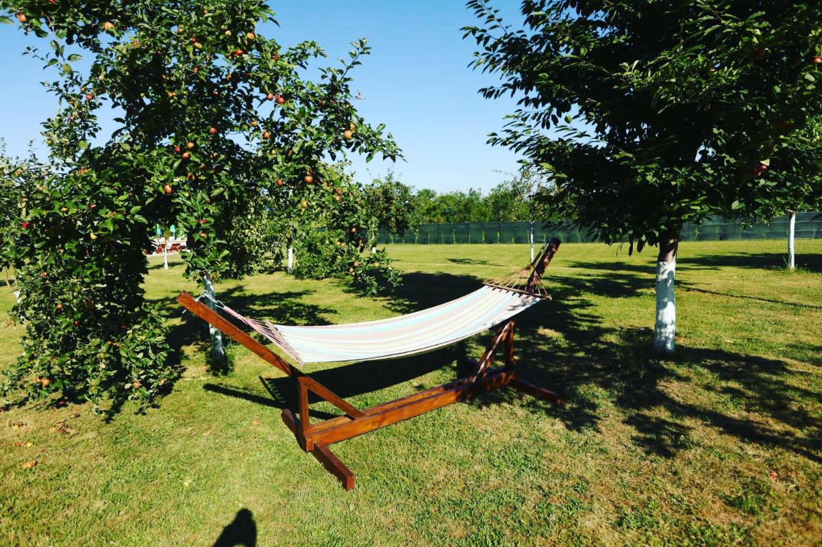 Sun Garden and Pool - Housity